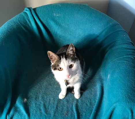 Are you going to work again?!!!