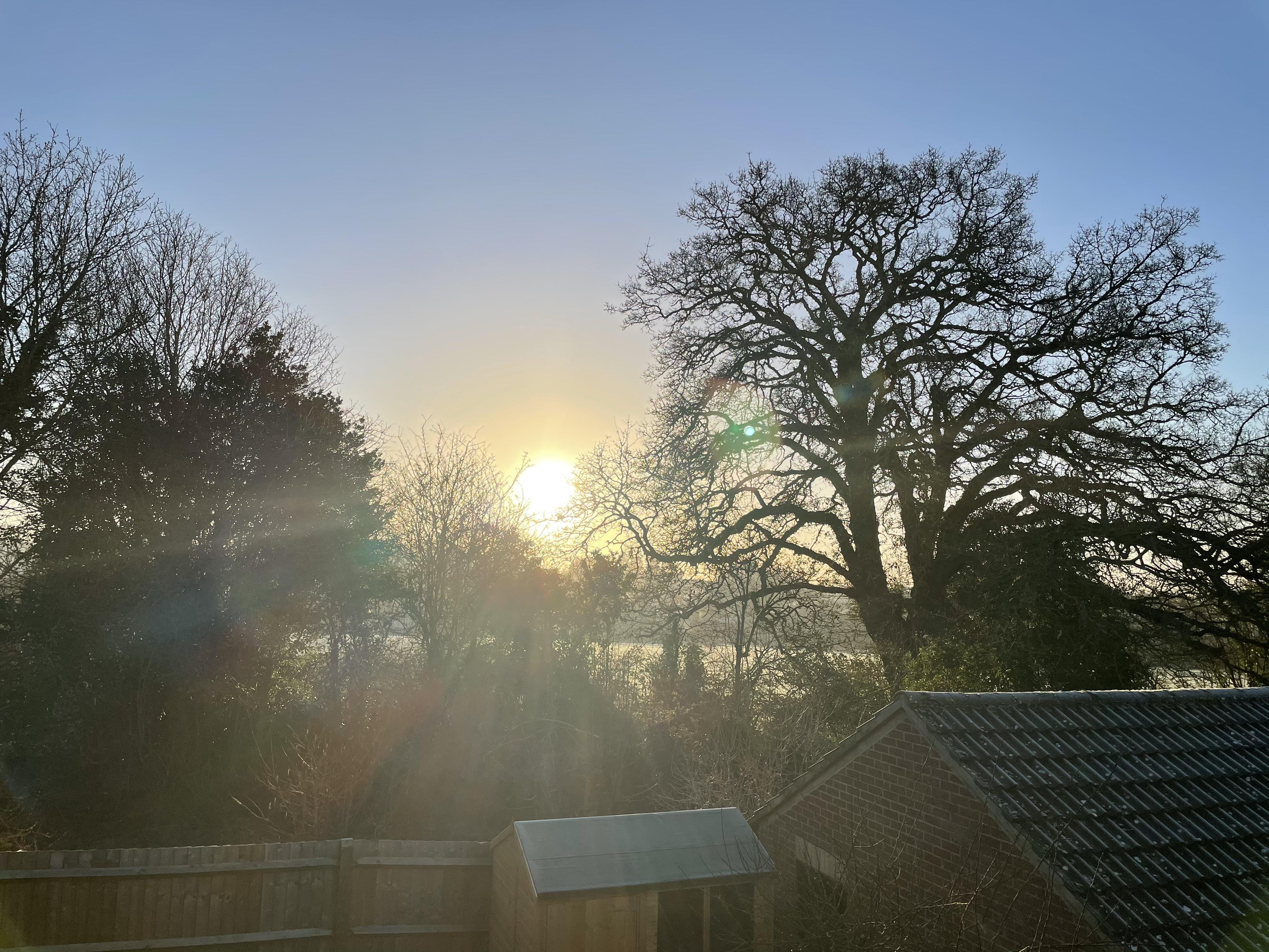 Beautiful view from my window when I got up this morning. 