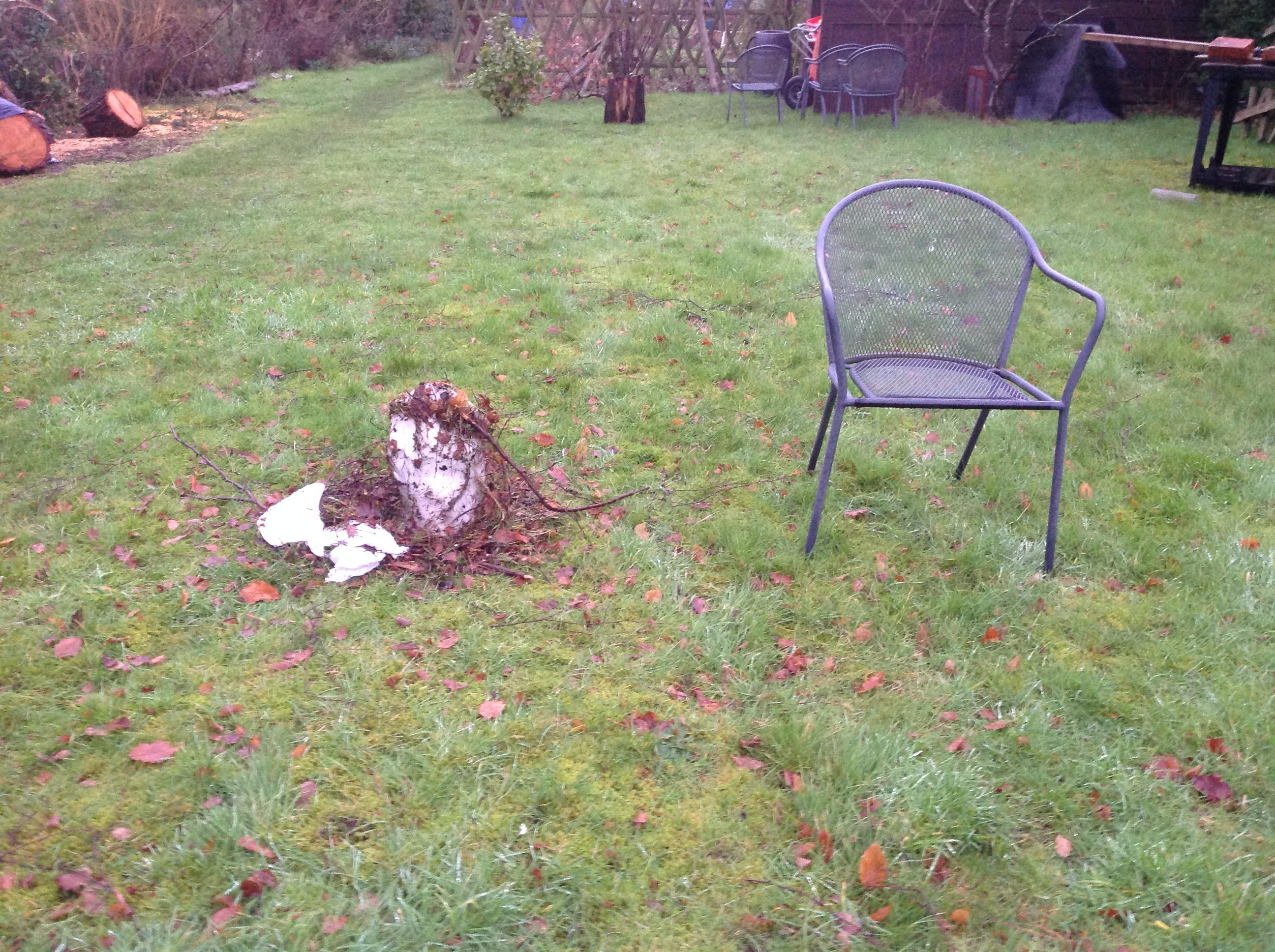 Big Man Bill - day 5