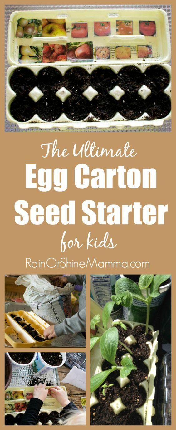 egg carton planter